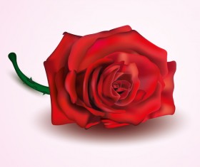 Fresh rose design vector material