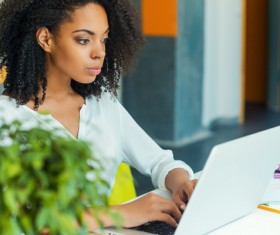 Girl working with laptop at work Stock Photo 01