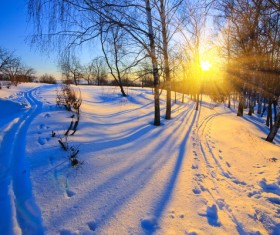 Glaring sunshine and beautiful winter snow scene Stock Photo 01