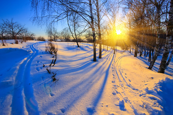 Glaring sunshine and beautiful winter snow scene Stock Photo 01