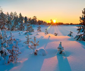 Glaring sunshine and beautiful winter snow scene Stock Photo 02