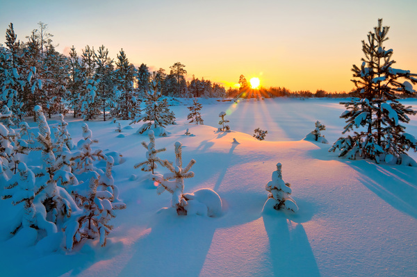Glaring sunshine and beautiful winter snow scene Stock Photo 02