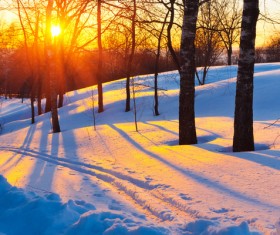 Glaring sunshine and beautiful winter snow scene Stock Photo 03