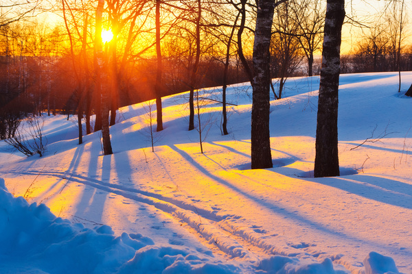 Glaring sunshine and beautiful winter snow scene Stock Photo 03
