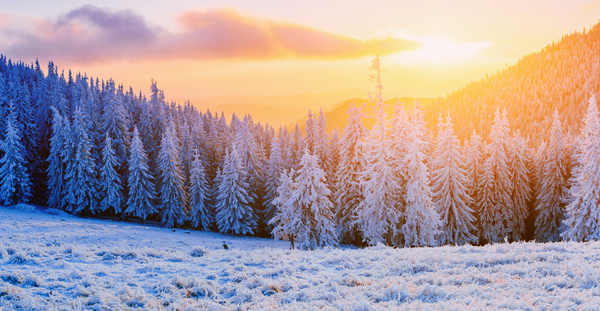 Glaring sunshine and beautiful winter snow scene Stock Photo 07