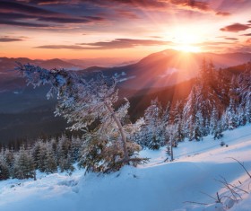 Glaring sunshine and beautiful winter snow scene Stock Photo 09