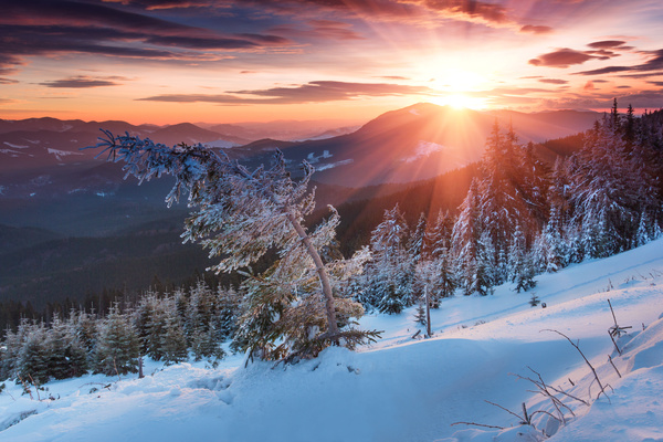 Glaring sunshine and beautiful winter snow scene Stock Photo 09