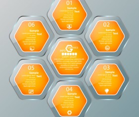 Glass textured hexagon infographic template vector 01