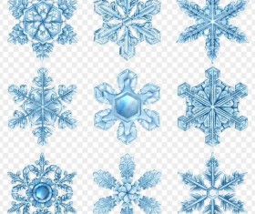 Glass textured snowflake illustration vectors set
