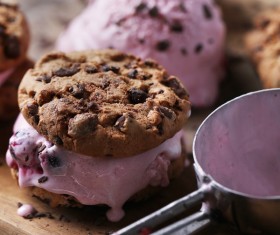 Ice cream biscuit dessert Stock Photo 03