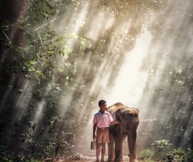 Little boy holding young elephant Stock Photo