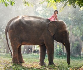 Little girl riding elephant Stock Photo