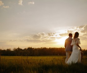 Marriage couple walking on meadow under sunset Stock Photo