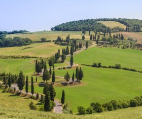 Meadow rural natural scenery Stock Photo