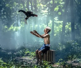 Old man training cockfighting Stock Photo