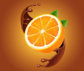 Orange with chocolate vector