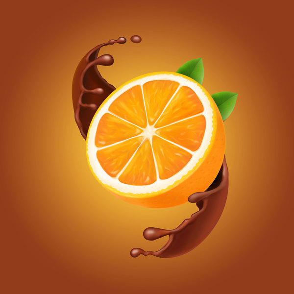Orange with chocolate vector