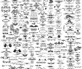 Ornament calligraphy vintage design vector