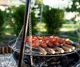 Outdoor Barbecue Sausage Stock Photo