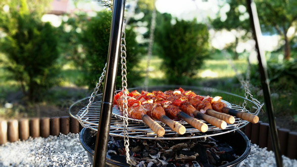 Outdoor Barbecue Sausage Stock Photo