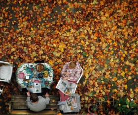 People relaxing on falling leaves garden Stock Photo