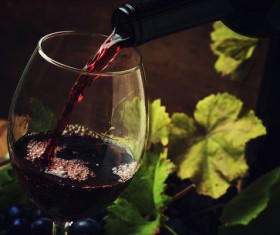 Red Wine Stock Photo 03