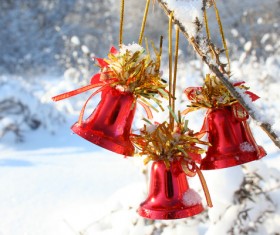 Red bells on the branch Stock Photo