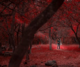 Romantic couple in red leaves scenery Stock Photo