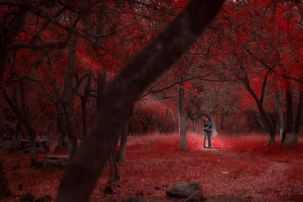 Romantic couple in red leaves scenery Stock Photo