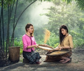 Screen rice woman Stock Photo 02