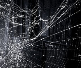 Spider webs Photoshop Brushes