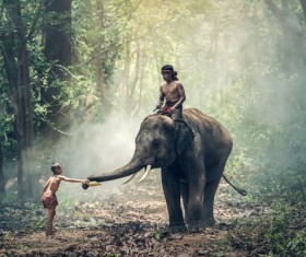 Touch elephant kids Stock Photo