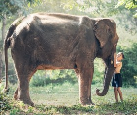 Touching the elephants child Stock Photo