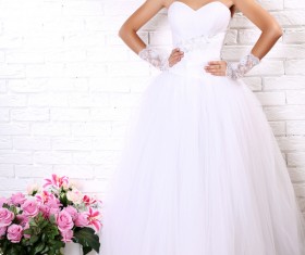 Wear Wedding dress beautiful bride Stock Photo 05