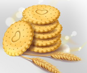 Wheat crackers illustration vector