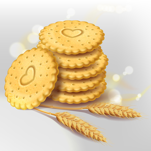 Wheat crackers illustration vector