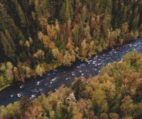 Wild fores and stream from high view Stock Photo