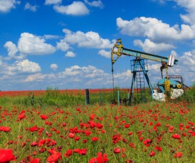 Wildflowers and Beam pumping unit on meadow Stock Photo
