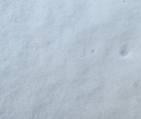 Winter Snow Texture Stock Photo 01