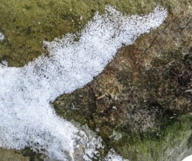 Winter Snow Texture Stock Photo 04