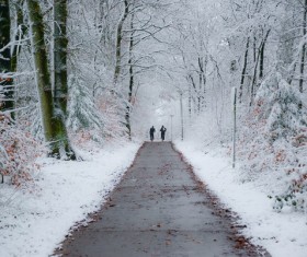 Winter tree Linxue Jing road Stock Photo