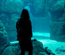 Woman visiting aquarium Stock Photo
