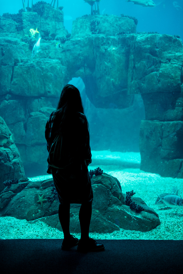 Woman visiting aquarium Stock Photo