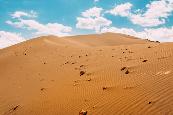 dune Stock Photo