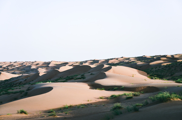empty sandy dune Stock Photo