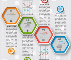 hexagon option infographic template vector 03