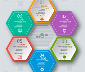 hexagon option infographic template vector 04