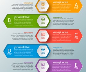 hexagon option infographic template vector 06