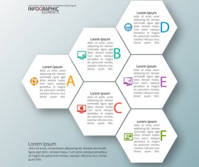 hexagon option infographic template vector 10