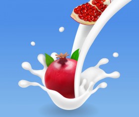 pomegranate with milk splash vector
